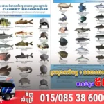 ក្រសួងកសិកម្ម ៖ ធនធានជលផលកំពុងរងគ្រោះថ្នាក់មានចំនួន ៥៨ប្រភេទ